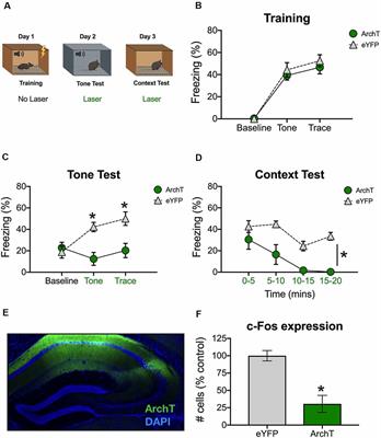 Acute Disruption of the Dorsal Hippocampus Impairs the Encoding and Retrieval of Trace Fear Memories